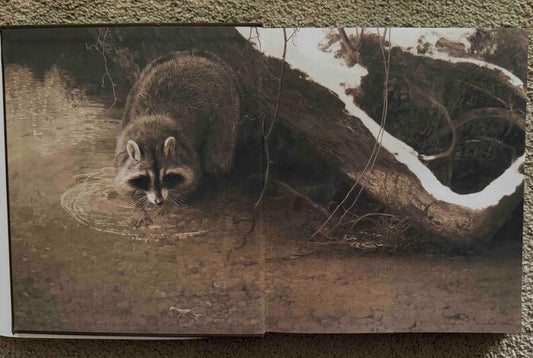 In Nature's Realm, The Art of Douglas Allen