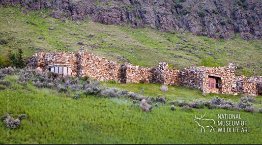 NMWA Postcard - Free Roaming Photography