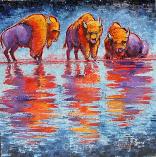 NC CD Wyoming Reflections