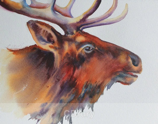 NC CD Call of the Wild (Elk)