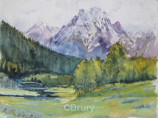 Print CD MountMoran EarlySummer
