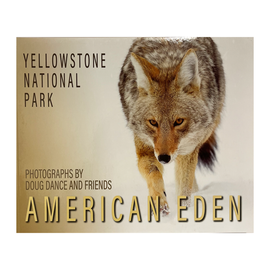 American Eden: Yellowstone National Park