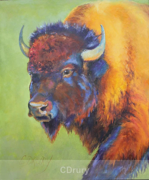 NC  CD Feeling Bold (Bison)