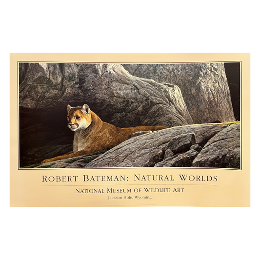 'Cougar' Robert Bateman Poster