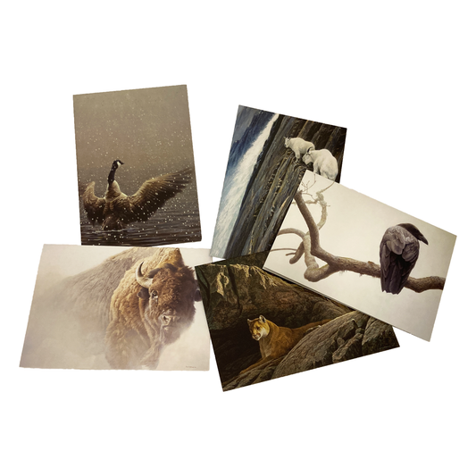 Robert Bateman Notecard Set (20 cards and envelopes)