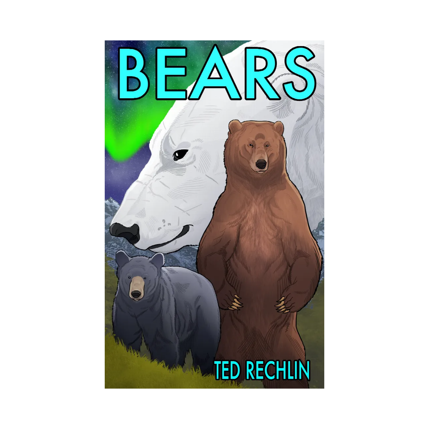 Bears: A Graphic Novel