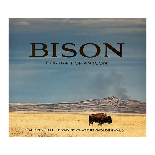 Bison: Portrait of an Icon