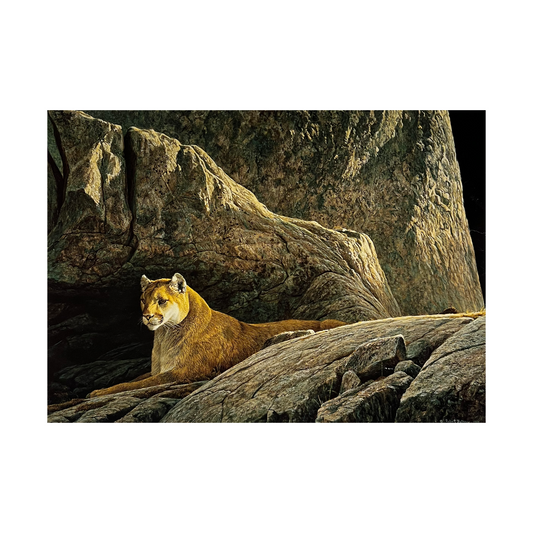 NC   RockyWilderness Cougar Bateman