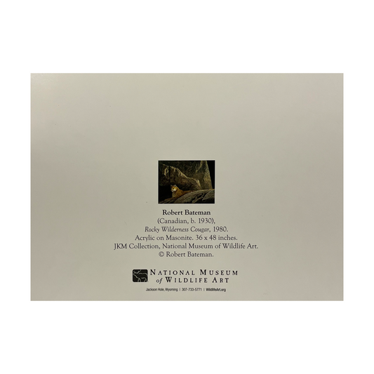 NC   RockyWilderness Cougar Bateman