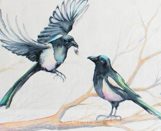 NC  CD Magpie Chatter