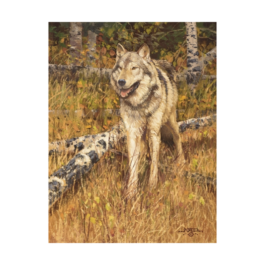 'Into the Light' John Potter Print