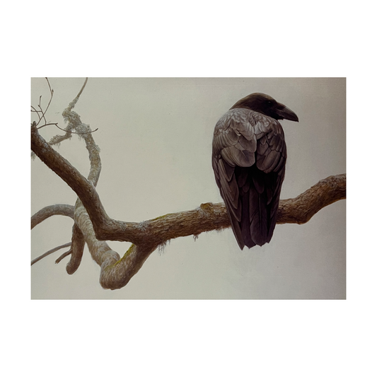 Robert Bateman 'Lone Raven' Notecard
