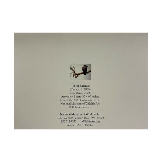 Robert Bateman 'Lone Raven' Notecard