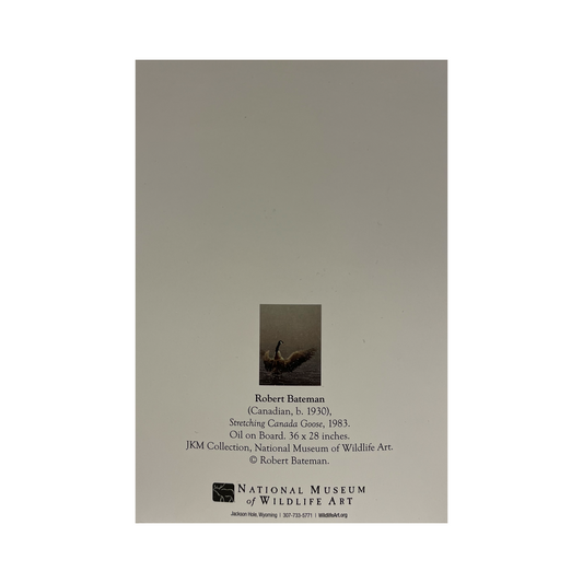 Robert Bateman 'Stretching Canada Goose' Notecard