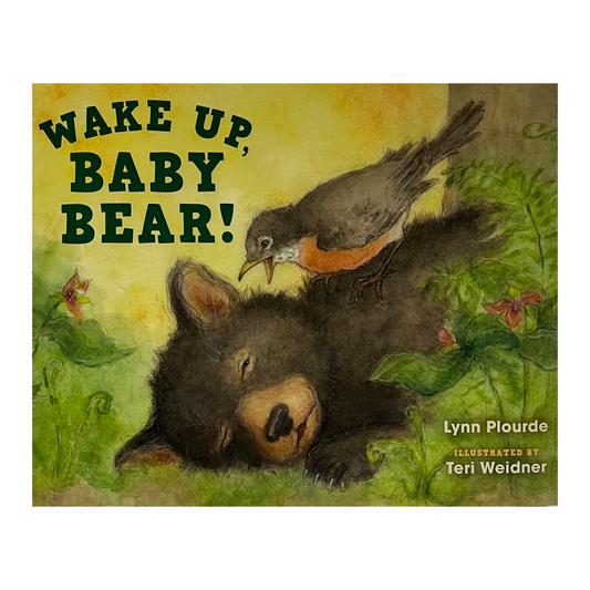 Wake Up, Baby Bear!