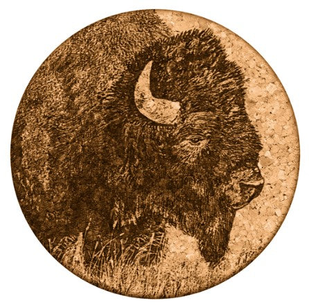 Coaster Bison