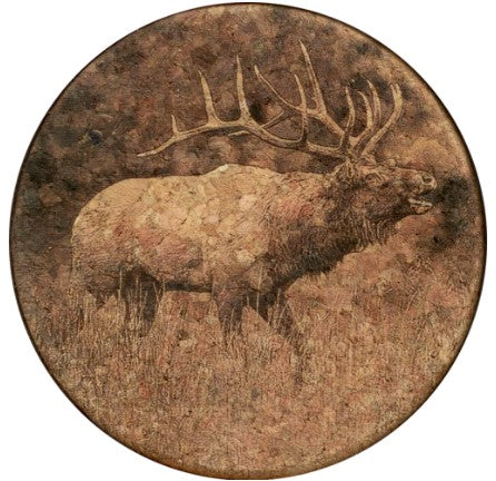 Coaster Elk-Wapiti