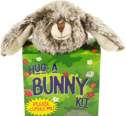 Book Hug a Bunny