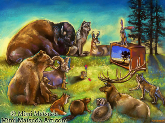 NC MM Wildlife Viewing Area