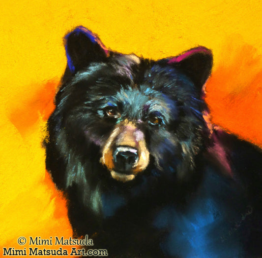 NC MM Black Bear