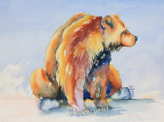 NC  CD  Groceries Please