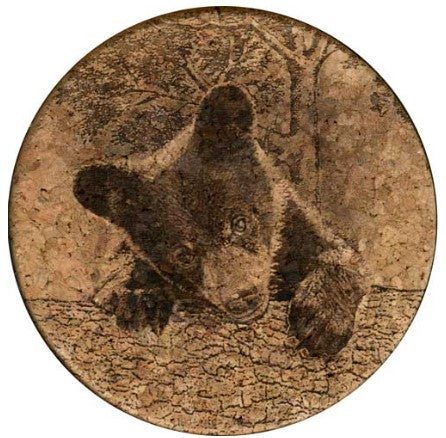 Coaster Life of Cub