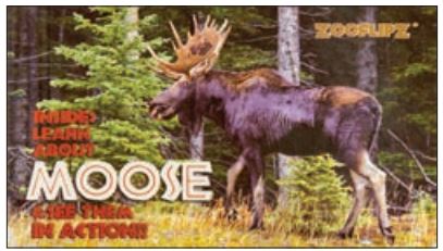 Book Zooflipz: Moose