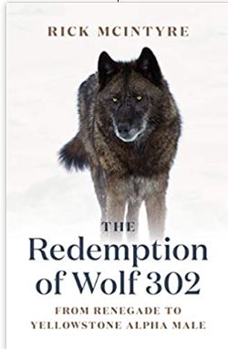 Book The Redemption of Wolf 302