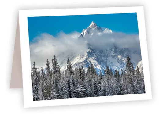 NC AR The Grand View